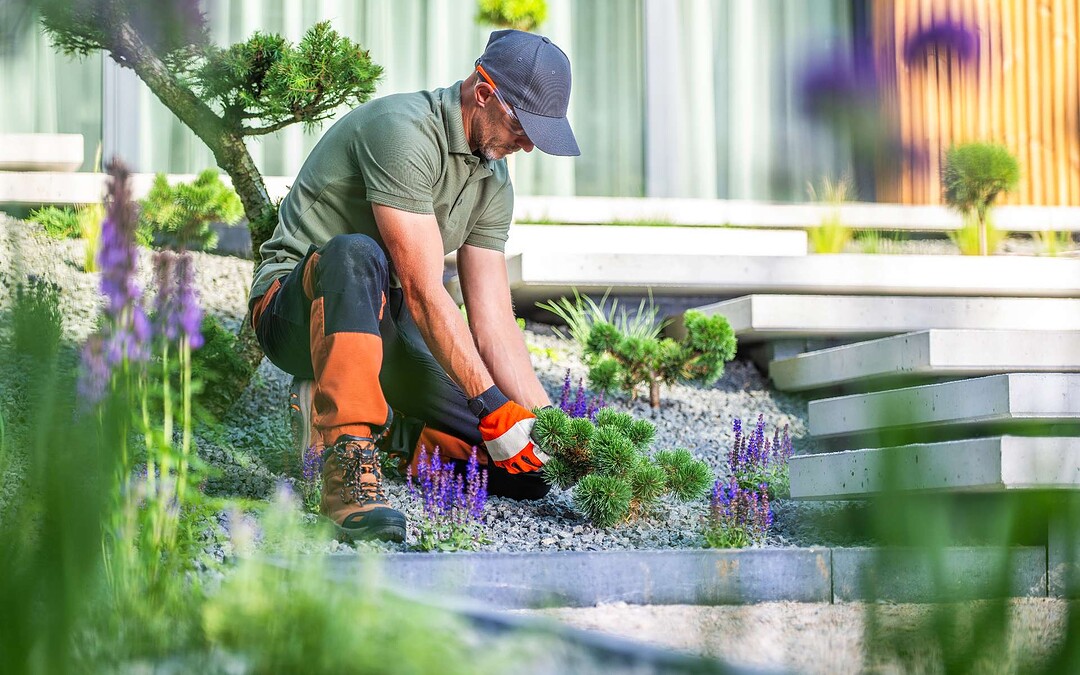 SEO for Landscaping Companies: How to Get Found Before the Season Starts