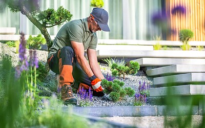 SEO for Landscaping Companies: How to Get Found Before the Season Starts