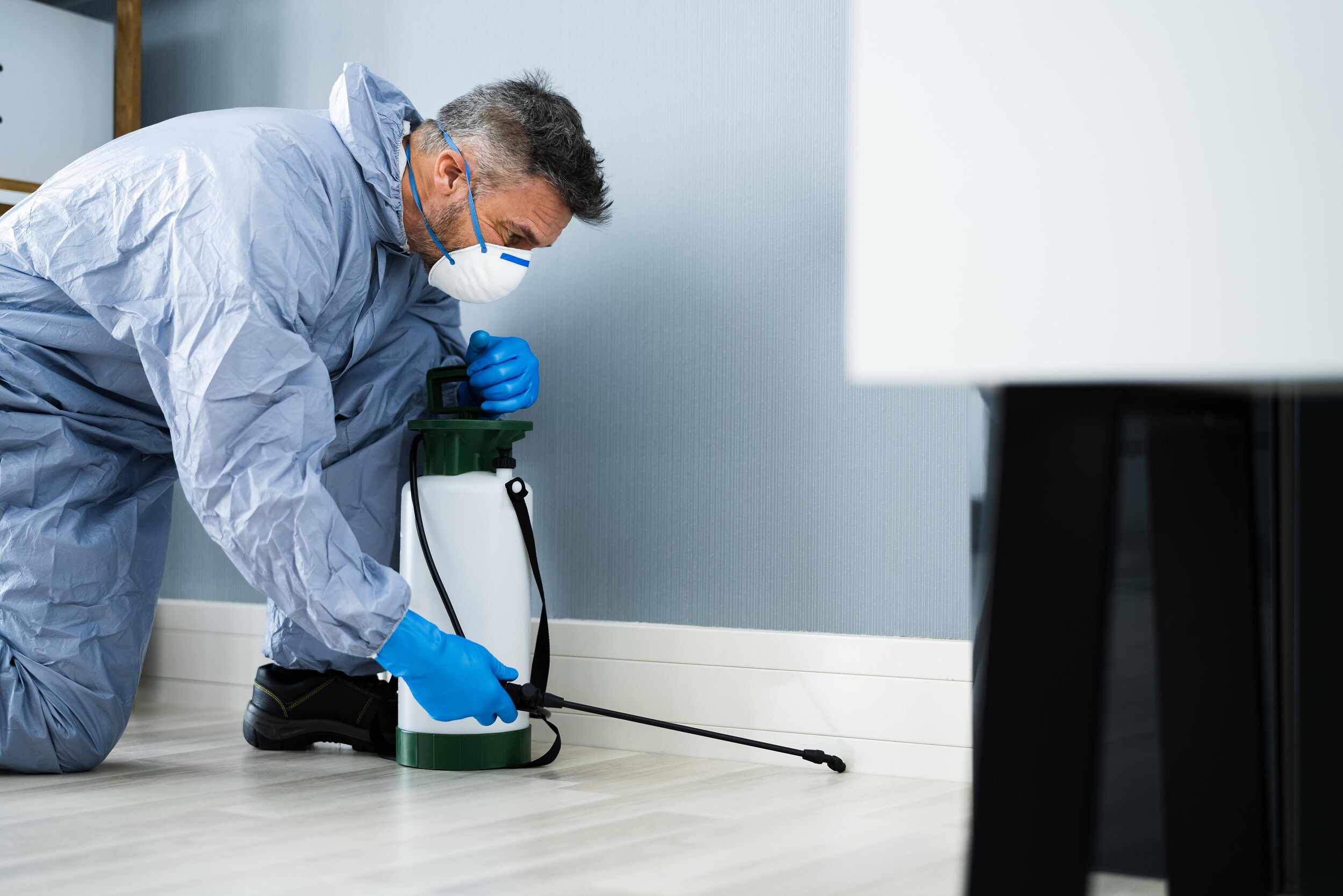 pest control professional spraying