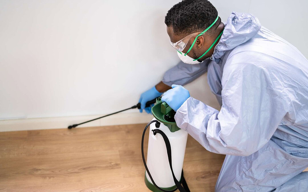 Best Website for Pest Control Companies: What Actually Converts