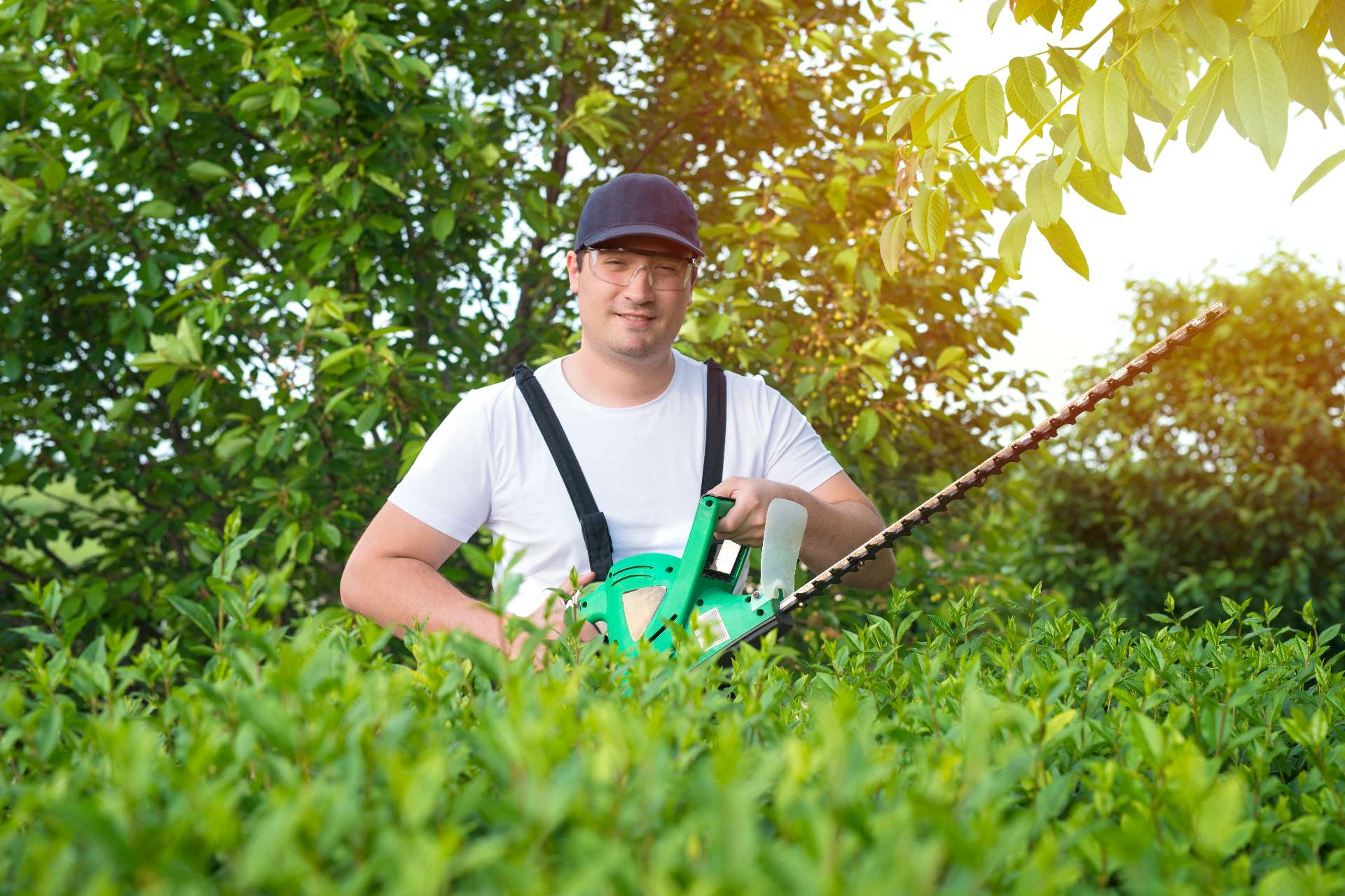 proud landscaper with hedge trimming tool