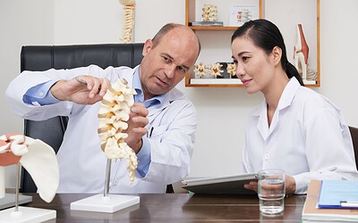 SEO for Chiropractors: How to Keep Your Appointment Book Full From Local Search