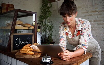 How Much Does Web Design Cost for a Business in New Hampshire?